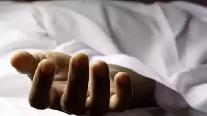 राजस्थान के भीलवाड़ा में करंट लगने से दो किसानों की मौत (प्रतीकात्मक तस्वीर)