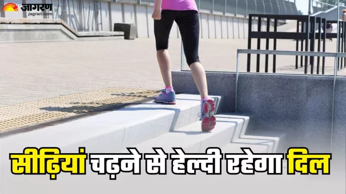 रोजाना सीढ़िया चढ़ने के हैं ढेरों फायदे (Picture Credit- Freepik)