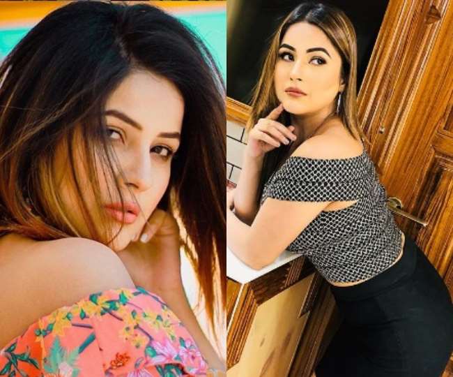 Happy Birthday Shehnaz Kaur Gill See Bigg Boss 13 Contestant Punjabi Ki Katrina Best 25 Photos Know About her Life