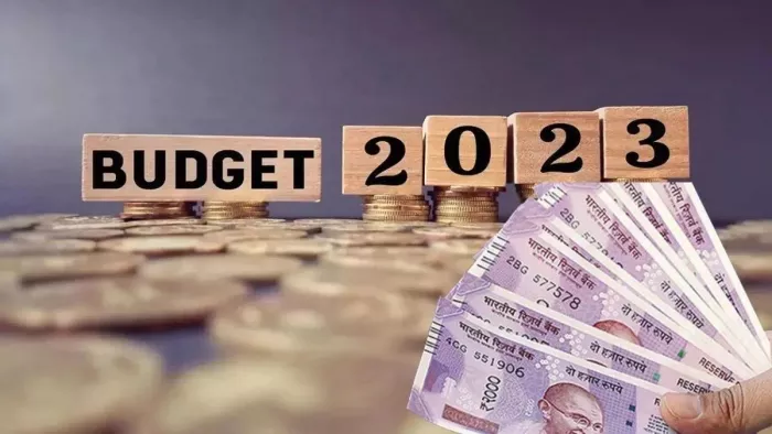 Budget 2023-24: Interesting Things Related To Indian Budget