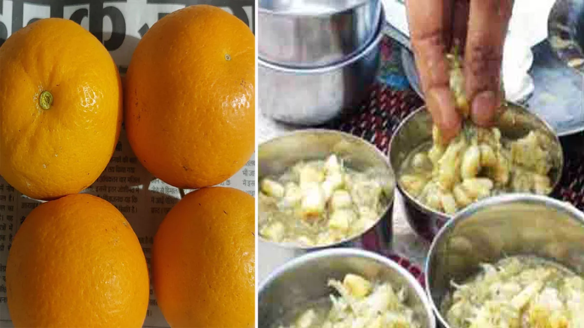 Pahadi Food : एक अध्ययन के अनुसार माल्टा का सेवन करने से 70 फीसद विटामिन सी मिलता है।
