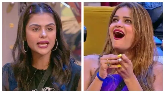 Bigg Boss 16: Priyanka Chahar Choudhary and Archana Gautam