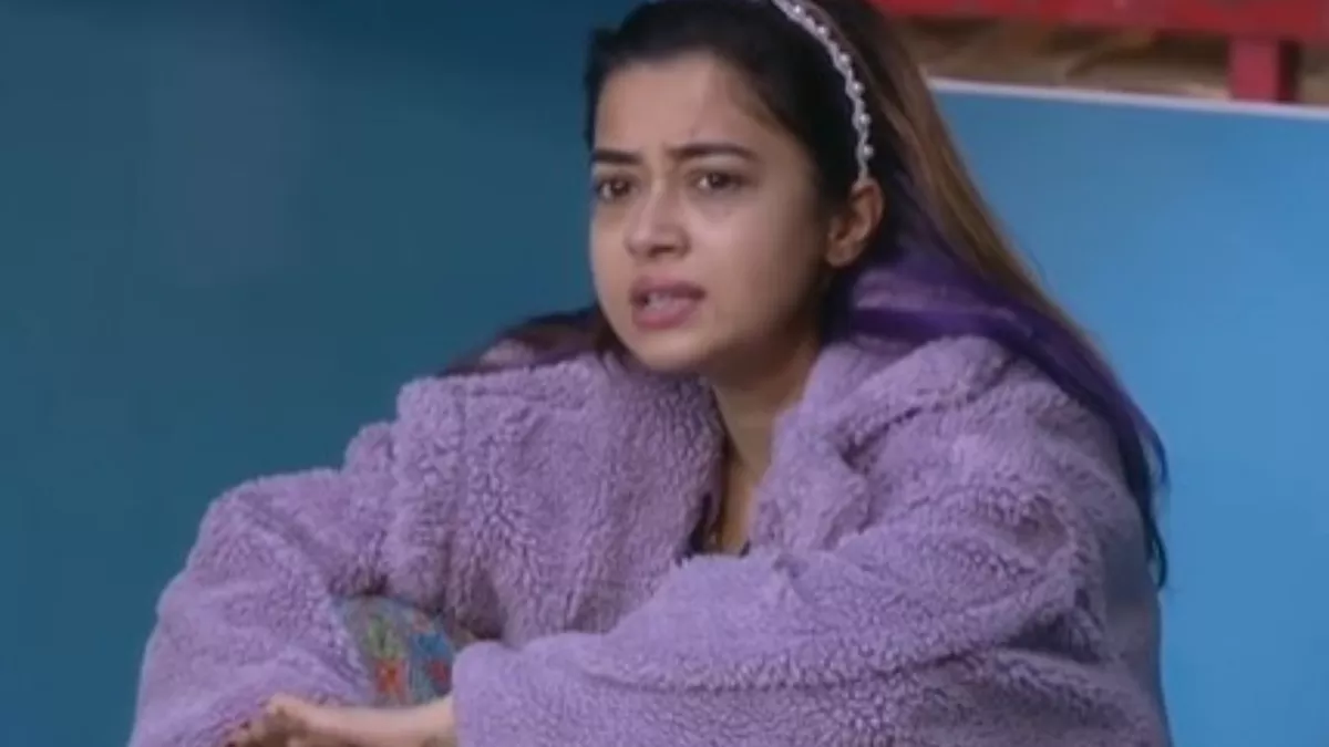 Bigg Boss 16 Tina Datta Eliminate From Salman Khan Show Her Team Says They Try to Pull You Down/Instagram-tina datta