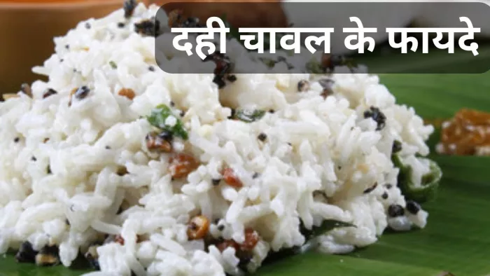 क्या आपको पता है दही-चावल खाने के फायदे