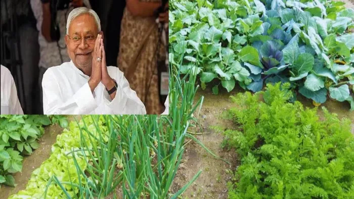 प्रस्तुति के लिए इस्तेमाल की गई तस्वीर
