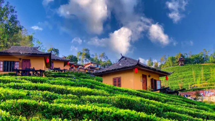 उत्तराखंड जाने के लिए आप 3 से 4 दिन की ट्रिप प्लान कर सकते हैं। ( Pic Courtesy : Freepik)