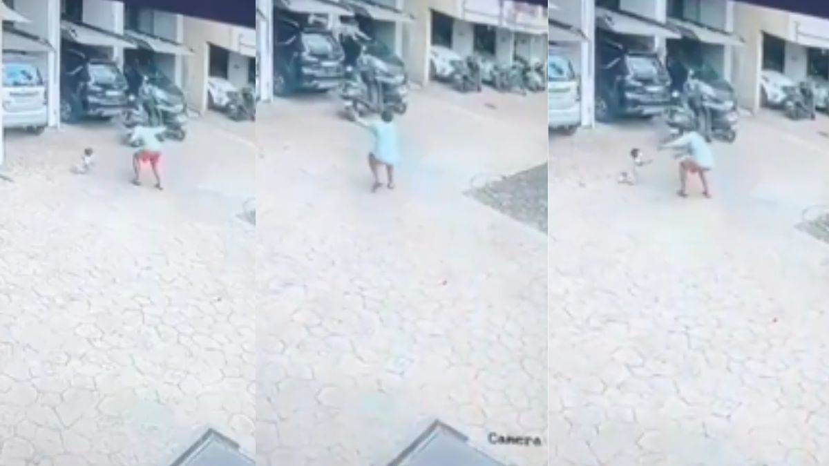 https://www.jagranimages.com/images/newimg/27012025/27_01_2025-viral_video_news_23873862.jpg