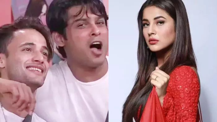 Bigg Boss 13 Contestant Asim Riaz Revealed Sidharth Shukla Comes in His Dream and Hugged Him Also Taunt Shehnaaz Gill/Instagram