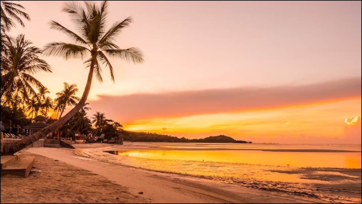 https://www.jagranimages.com/images/newimg/27022023/27_02_2023-goa_23342525.jpg