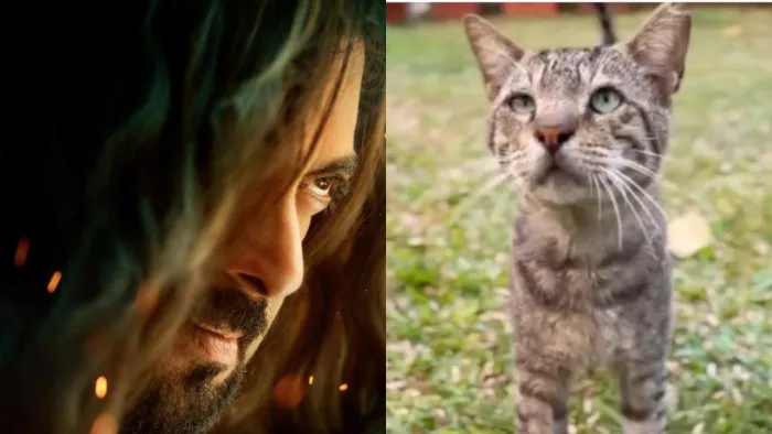 Kisi Ka Bhai Kisi Ki Jaan Song: Salman Khan told- When will the new song come, VIA INSTAGRAM