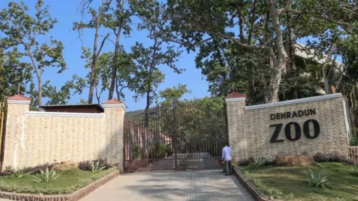 देहरादून जू में टाइगर सफारी को लेकर लंबे समय से चल रही थी कवायद