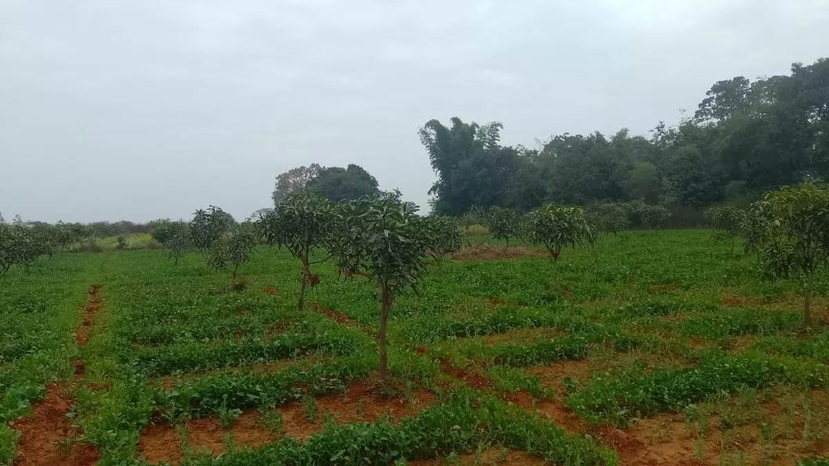 https://www.jagranimages.com/images/newimg/27022024/27_02_2024-farmer_new_23663004_174728870.jpg