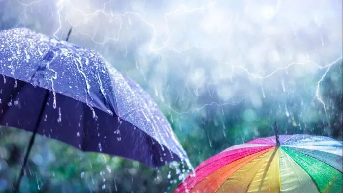 Delhi Weather: दिल्ली-एनसीआर में बदला मौसम का मिजाज, हल्की बारिश से हुई दिन की शुरुआत; पढ़ें IMD का ताजा अपडेट