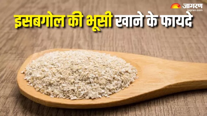 गट हेल्थ के लिए बेहद फायदेमंद है इसबगोल की भूसी (Picture Courtesy: Freepik)