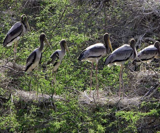ncr delhi zoo to reopen from april 1 and tickets price increases