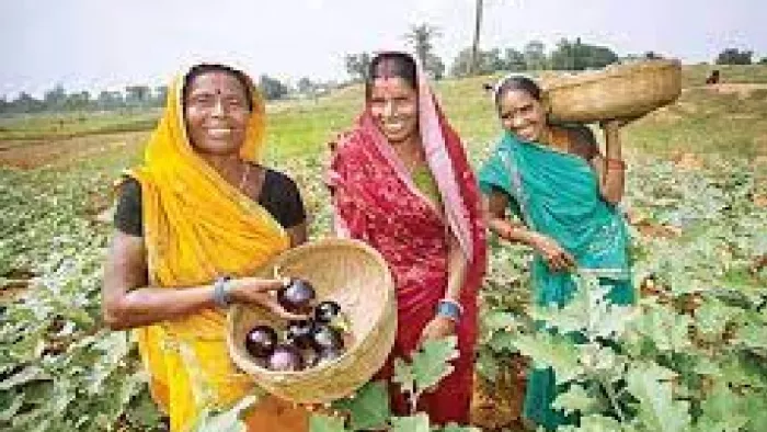 500 महिला किसान सौर ऊर्जा से खेतों की सिंचाई कर हर साल आठ लाख रुपये का डीजल बचाती हैं।
