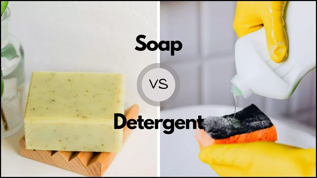 Soap और Detergent में यह अंतर जानकर आप भी हो जाएंगे हैरान, जान लीजिए कि आखिर दोनों कैसे होते हैं तैयार