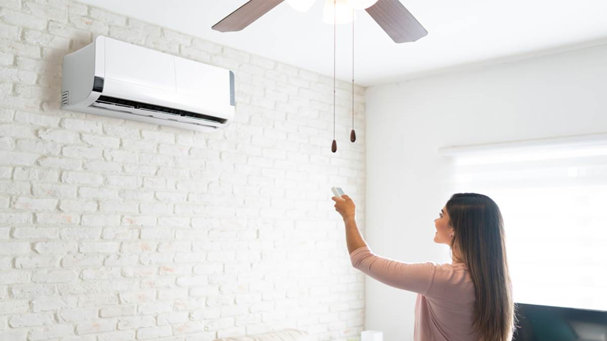 एलजी, हायर से लेकर पैनासोनिक तक! यहां देखें साल 2024 में किन Best AC Brands पर दाव लगाना रहेगा एकदम सही! नहीं होगा कभी पछतावा