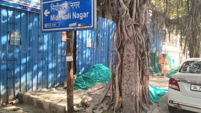 Delhi News: मियांवाली नगर में पेड़ की बंद जड़। फोटो जागरण