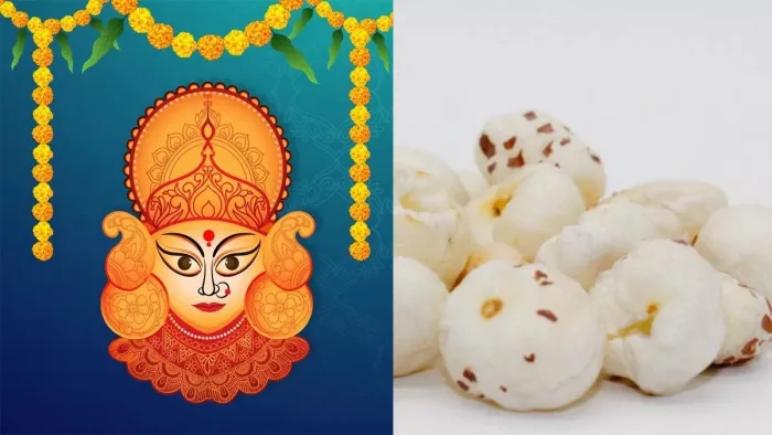 नवरात्र व्रत में जरूर खाएं मखाना। (Image Credit- Freepik)
