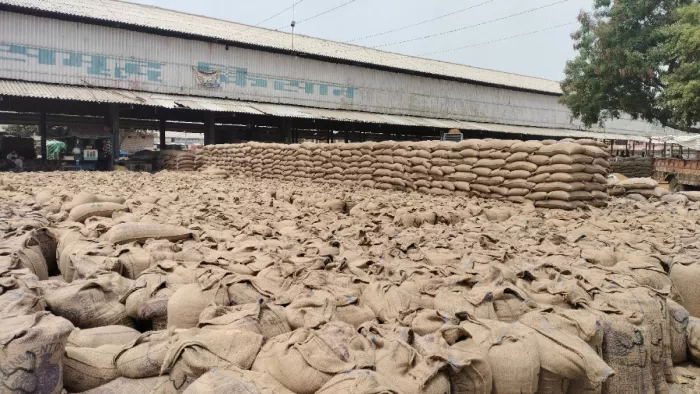 हरियाणा में कल खरीद रोककर की जाएगी गेहूं की बोरियों का उठान