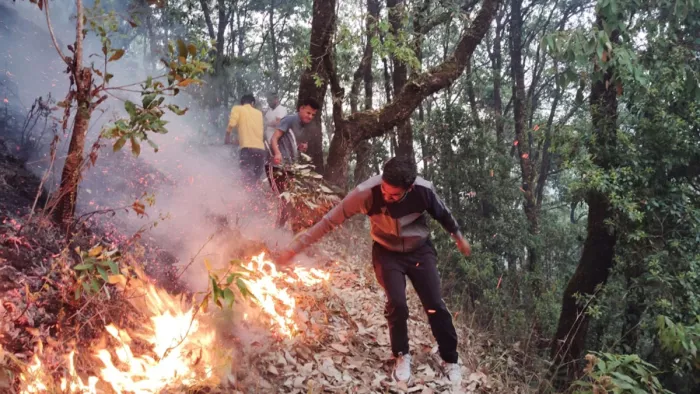 Uttarakhand Forest Fire: दो घंटे की कड़ी मशक्कत के बाद आग पर पाया काबू