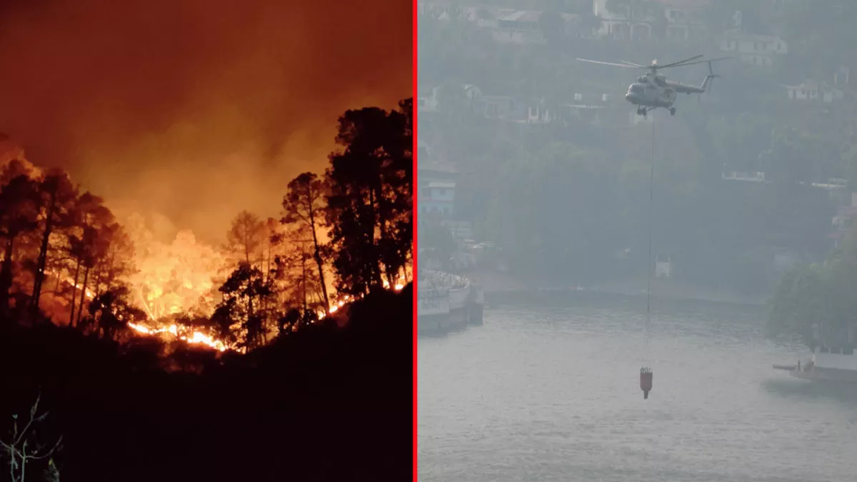 Uttarakhand Forest Fire: धधकते वन को बचाने उतरी वायु सेना, नैनीताल में बेकाबू आग पर दो हेलीकॉप्टर से पानी की बौछार; सभी झीलों में बोटिंग रुकी