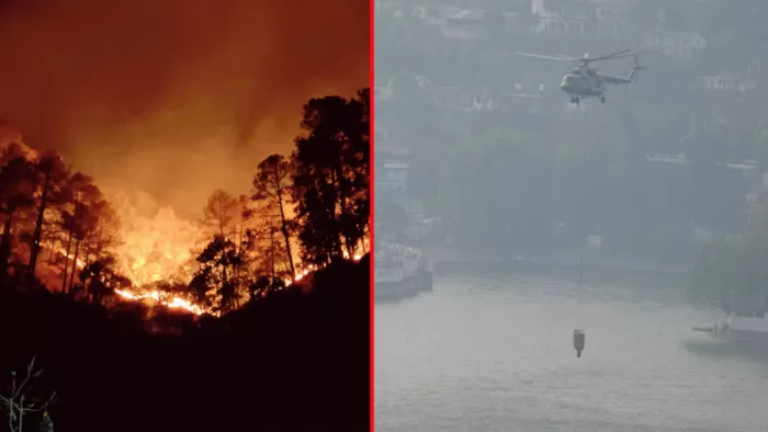 Uttarakhand Forest Fire: सेना को ही वनाग्नि रोकथाम का मोर्चा संभालना पड़ा।