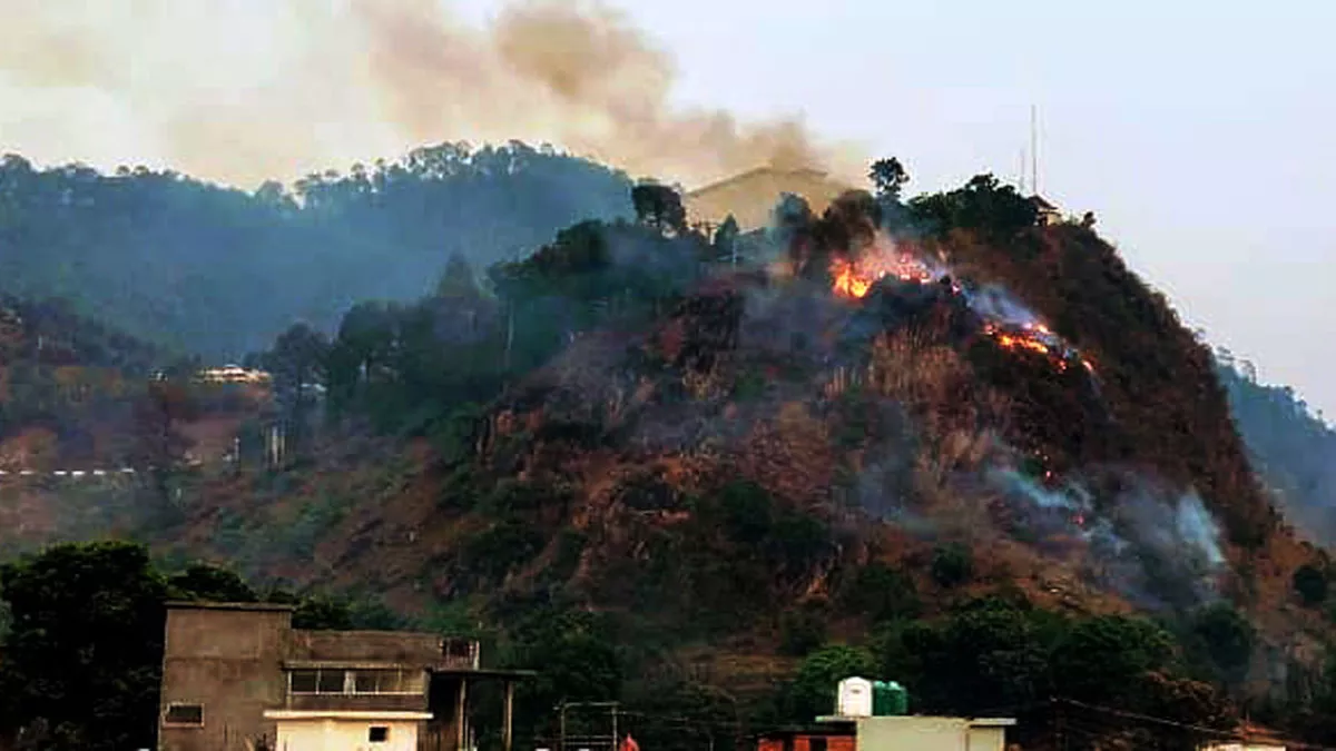 Uttarakhand Forest Fire: बढ़ती गर्मी के साथ जंगल धधकने का सिलसिला जारी, पहाड़ों में 31 स्थानों पर भड़की आग