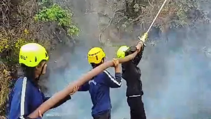 Uttarakhand Forest Fire: जंगलों में आग लगाने पर तीन के खिलाफ मुकदमा दर्ज कर भेजा जेल
