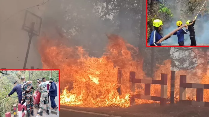 Forest Fire Uttarakhand: पहाड़ियां धधकने से धुआं ही धुआं