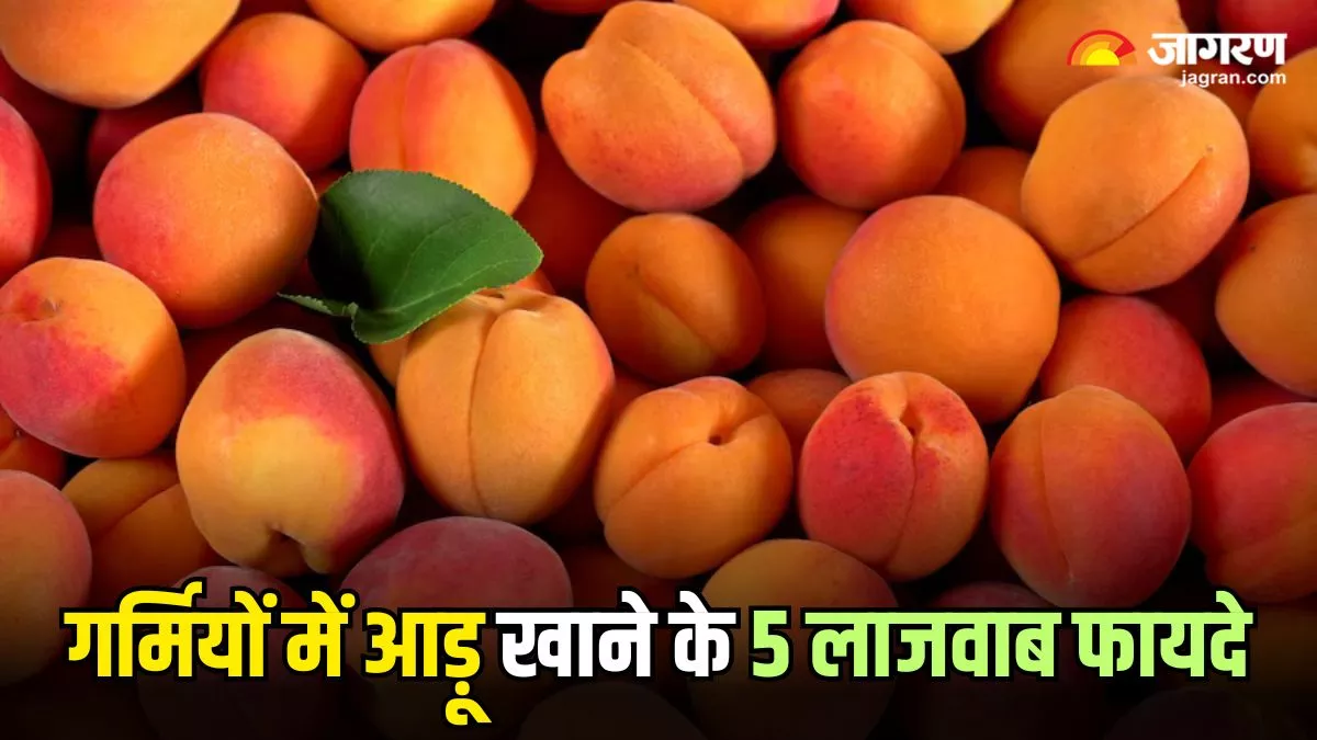 Benefits of Peaches: हार्ट से लेकर पाचन तक, गर्मियों में आड़ू खाने के ये 5 फायदे, आपको भी कर देंगे हैरान
