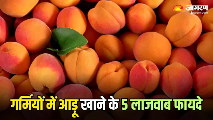 हार्ट हेल्थ से लेकर पाचन बेहतर करने तक, गर्मियों से सेहत को कई फायदे देता है आड़ू