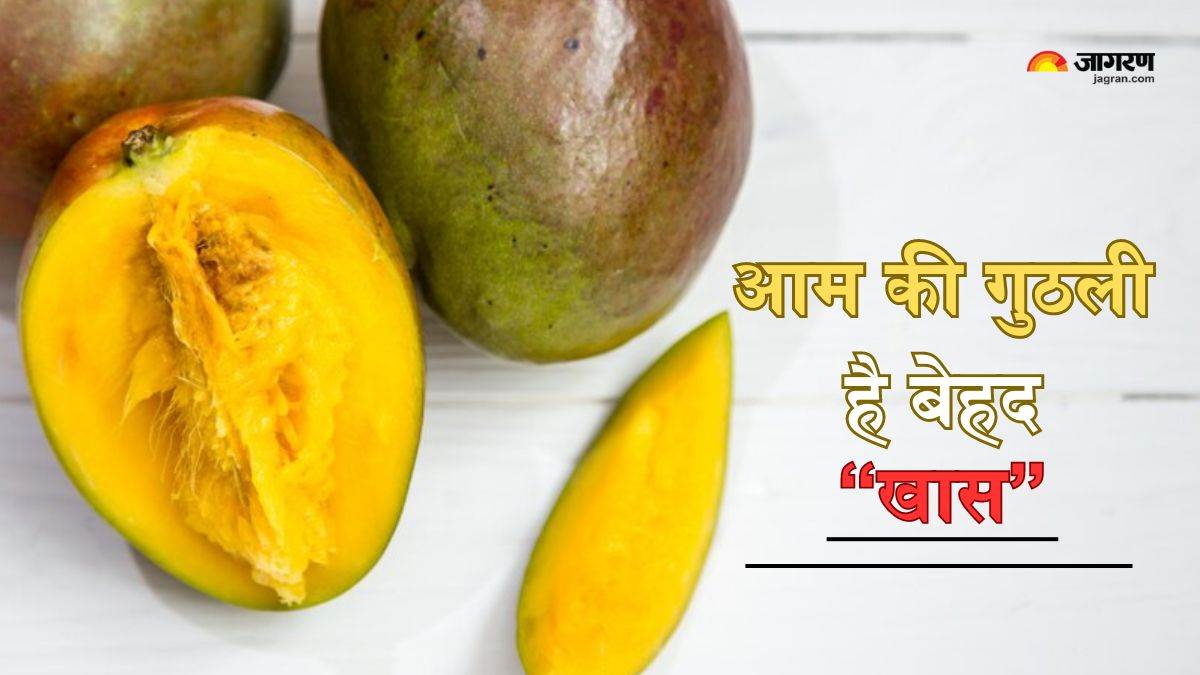 Mango Seed Benefits आम ही नहीं इसकी गुठली में भी छिपे हैं बेशुमार