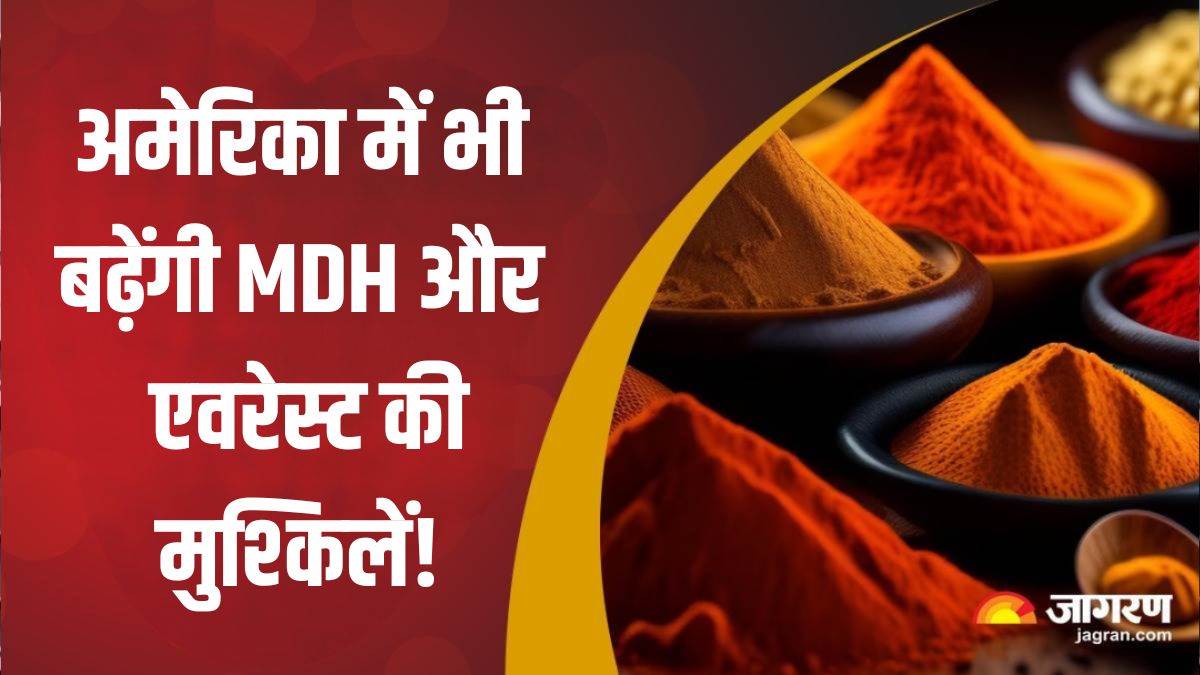 https://www.jagranimages.com/images/newimg/27042024/27_04_2024-mdh_us_masala_23705852.jpg