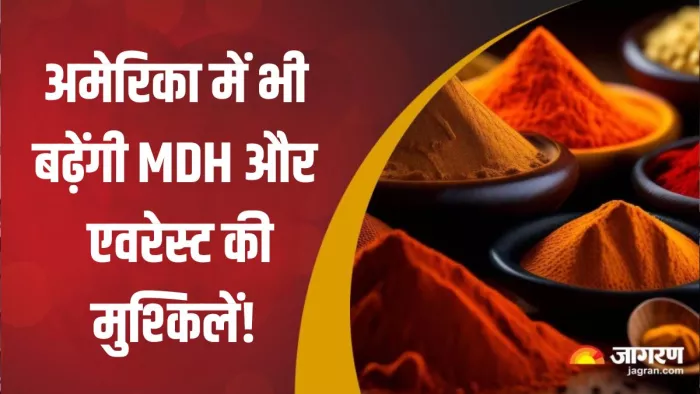 मसालों में 'एथिलीन ऑक्साइड' तय मात्रा से अधिक होने का आरोप है, जिससे कैंसर हो सकता है।