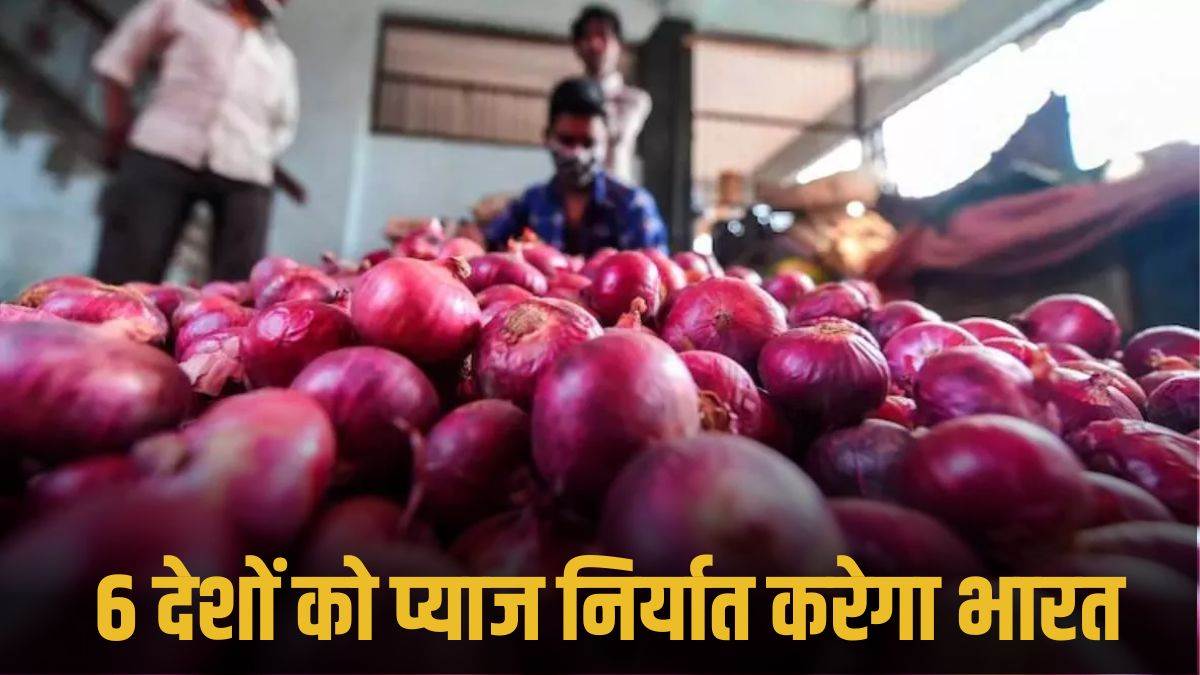 https://www.jagranimages.com/images/newimg/27042024/27_04_2024-onion_23706017.jpg