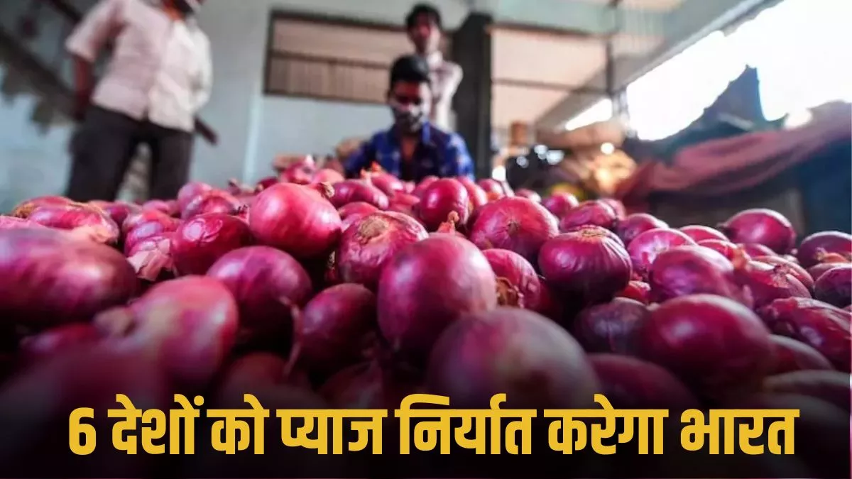 Onion Export: क्या फिर रुलाने वाली है प्याज? सरकार ने दी निर्यात की इजाजत