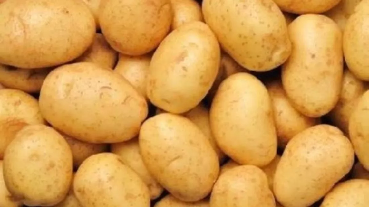 Potato Price Hike: आम आदमी की जेब पर आलू की मार, कीमत में हुई बढ़ोत्तरी, प्याज के भाव में भी लगातार आ रहा उछाल