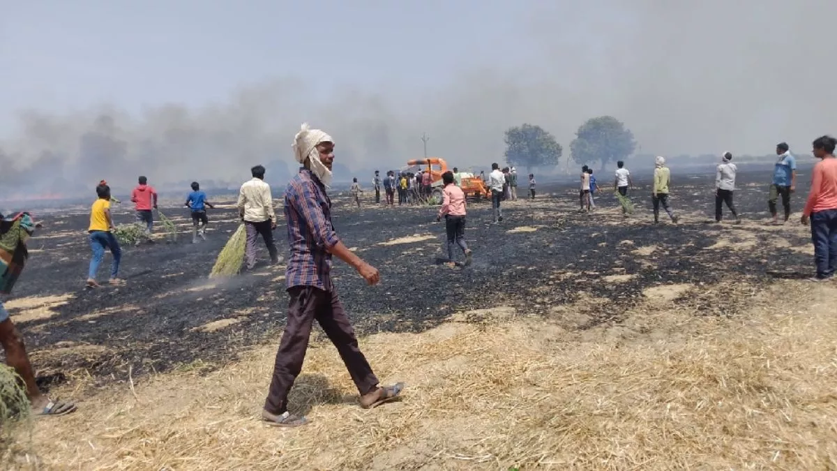 कानपुर के इस इलाके में छह बीघा गेहूं की फसल जलकर राख, भूसा बनाने की मशीन से लगी आग
