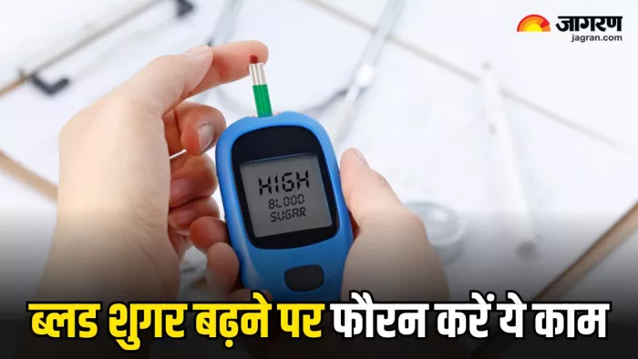 High Blood Sugar Control Tips: ब्लड शुगर को कंट्रोल करने के लिए तुरंत कर लें ये 4 काम