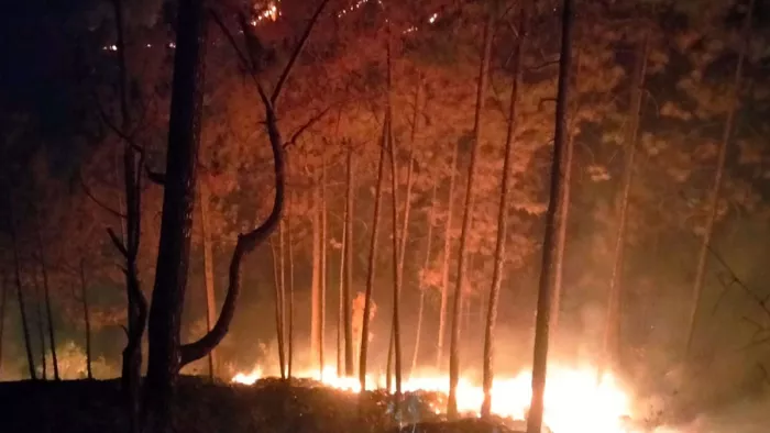 Uttarakhand Forest Fire: जंगलों में लगी आग को काबू करना चुनौती बन गया।