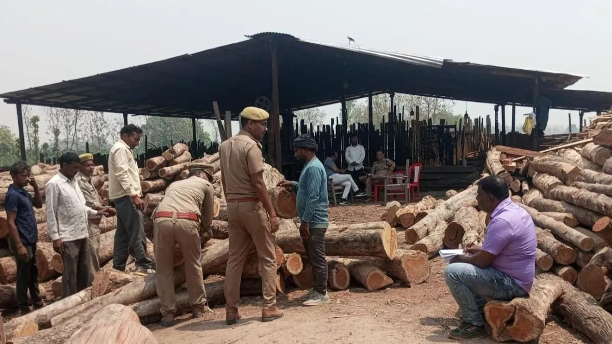 UP News: संतकबीरनगर में आरा मशीन पर DFO की छापेमारी, प्रतिबंधित लकड़ी बरामद; कार्रवाई से मचा हड़कंप