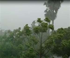 Cyclone Yaas Updates: बिहार में यास तूफान की गति बढ़ी, पटना सहित कई जिलों में तेज हुई आांधी-बारिश