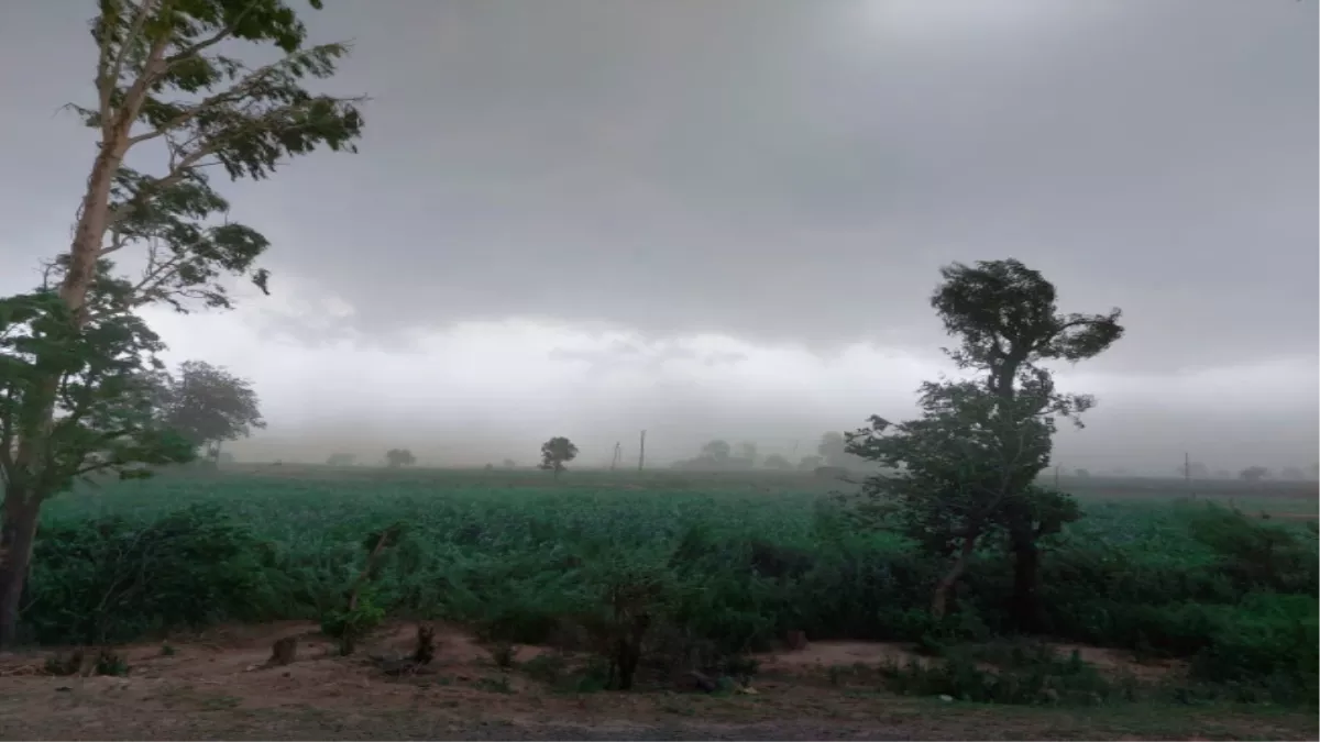 Aligarh Weather Forecast: अलीगढ़ में बदला मौसम, धूलभरी आंधी के साथ बूंदाबांदी