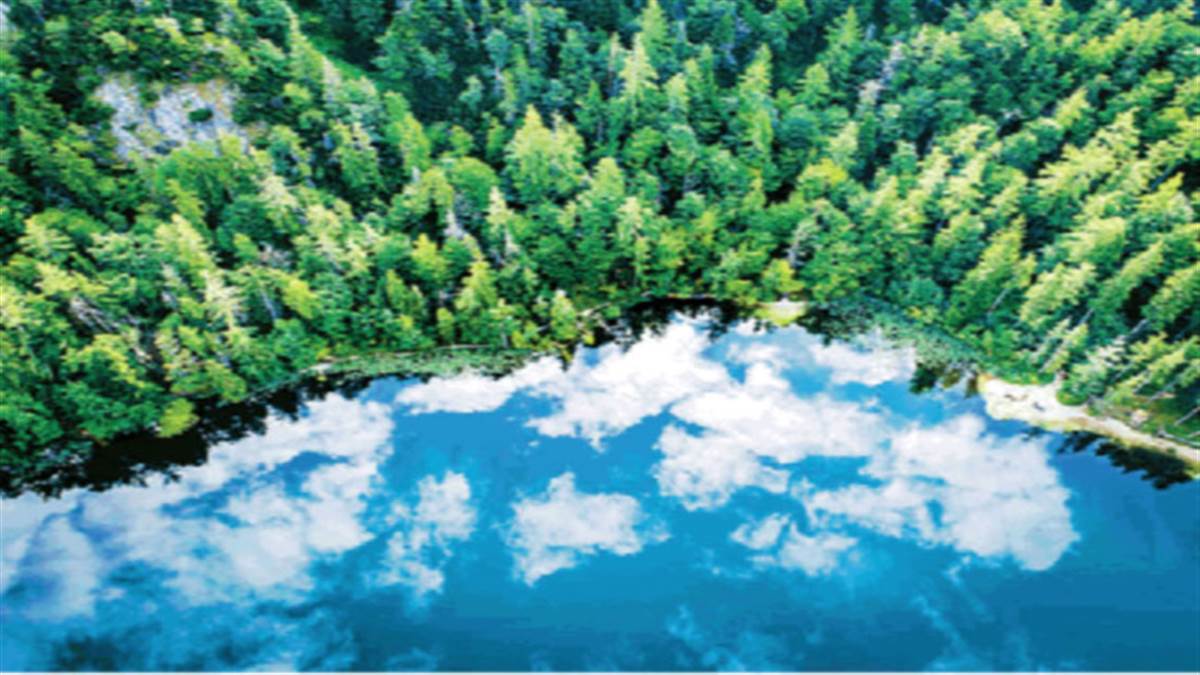 https://www.jagranimages.com/images/newimg/27052022/27_05_2022-biological_diversity_22748448.jpg