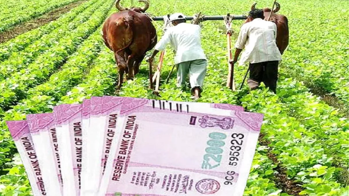 बजट में प्रदेश सरकार ने खोला पिटारा, किसानों की घटेगी फसल लागत, मिलेंगी सुविधाएं