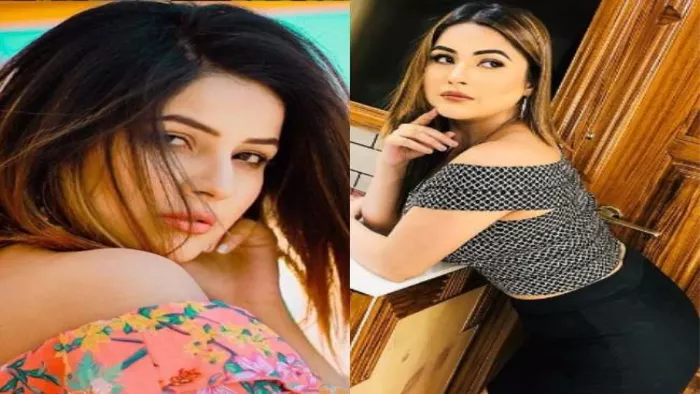 सलमान की फिल्म Kabhi Eid Kabhi Diwali से डेब्यू को लेकर शहनाज गिल हुईं कंफ्यूज