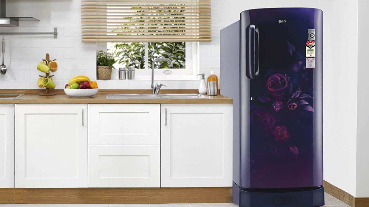 LG के Inverter Refrigerators हैं बेस्ट, बाहर के टेंपरेचर के हिसाब से करते हैं कूलिंग मेंटेन