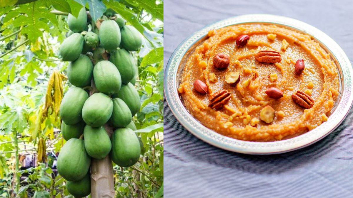 Raw Papaya Recipes: गर्मियों की डाइट में इन 6 तरीकों से शामिल करें कच्चा पपीता, नहीं पड़ेंगे बीमार - Raw papaya recipes to stay healthy in summer know here papaya benefits